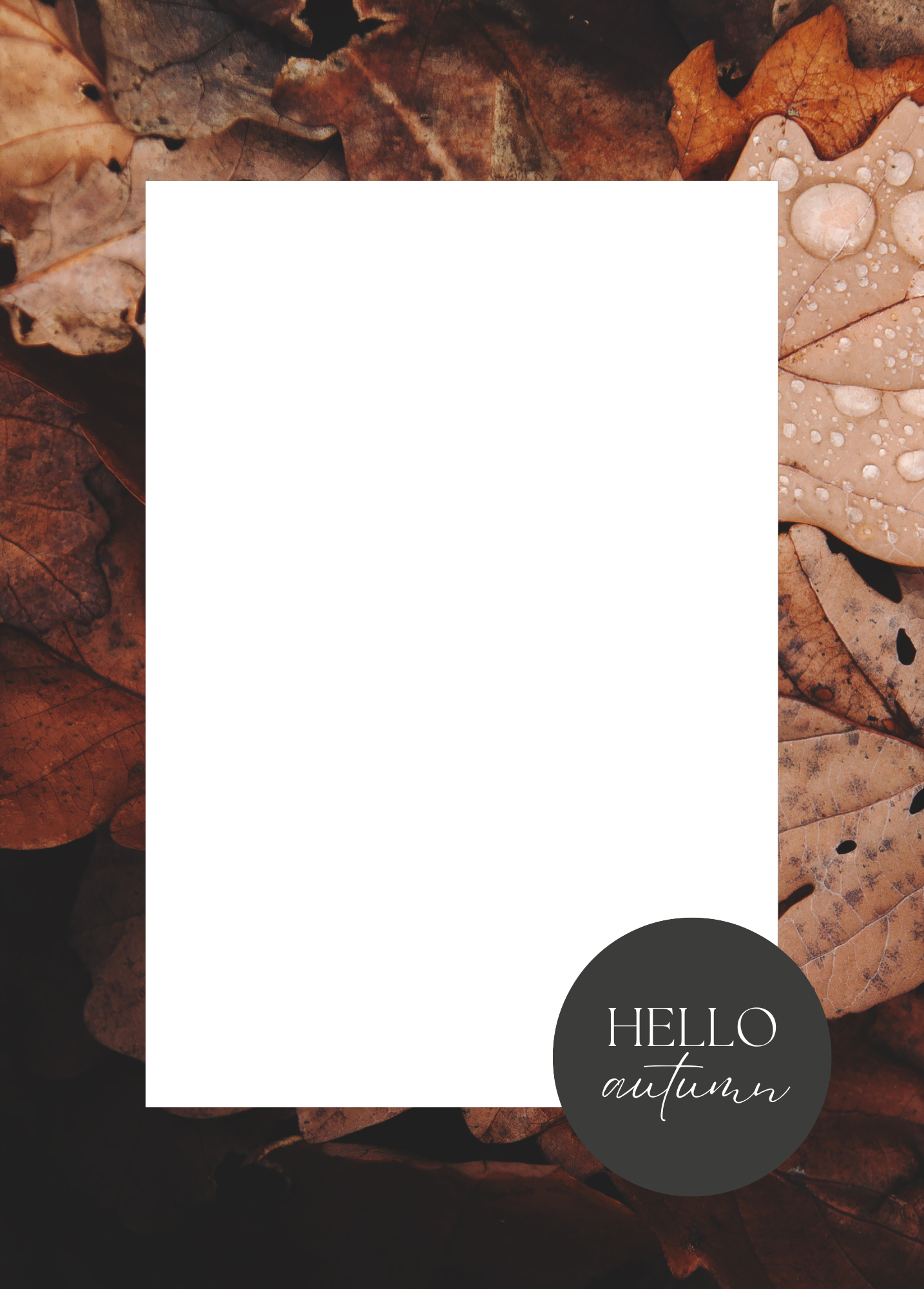 Hello Autumn | Fall Photo Card