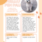 ✨NEW✨ Hello Pen Pal! | Interactive Get-to-Know-You Activity Letter