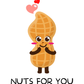 Nuts for You | Valentine's Day / Love Card